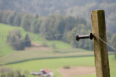 betesmark staket, elstängsel, Schweiz, bergen, Alpin