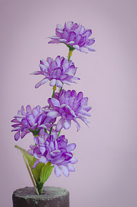 flower, purple, purple flower, nature, floral, plant, garden