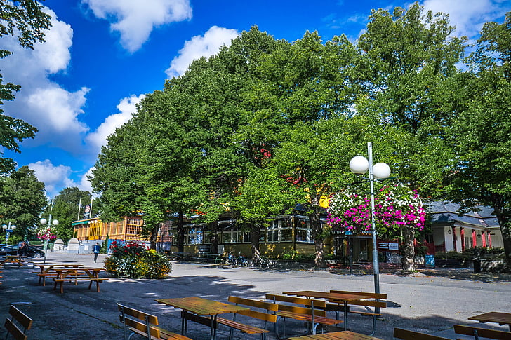 skansen, stockholm, sweden, scandinavia, park, tree