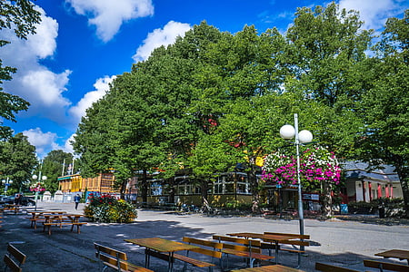 Skansen, Stockholm, Švédsko, Skandinávie, parku, strom