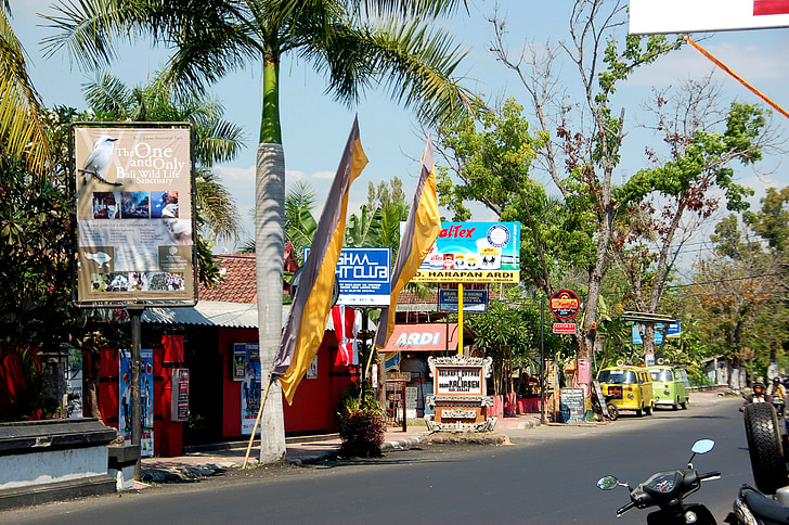 calle, Bali, viajes, tiendas