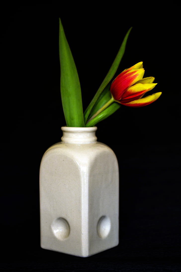 fleurs, tulipes, vase à fleur, fermer, vase, feuille, fleur