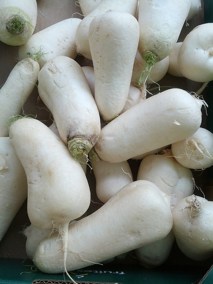 turnip, vegetables, white turnip