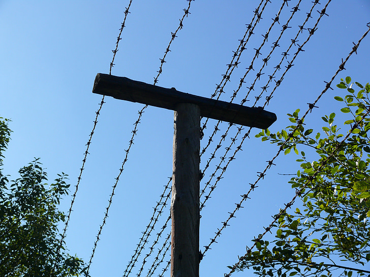 barbed wire, border, security, wire, defense