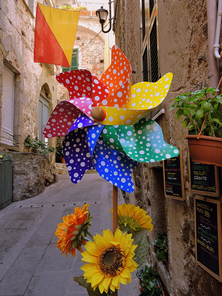 kleuren, Pinwheel, zonnebloemen, kleurrijke pinwheels, weg, via, historische centrum