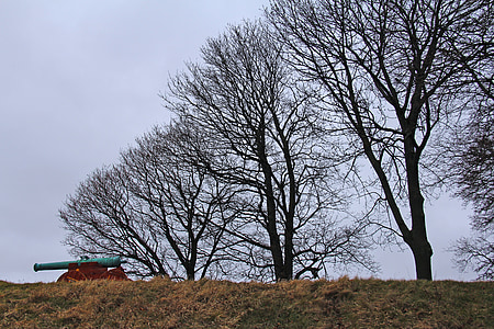 Castell, vell, bonica, l'hivern, fred, viatges, fortalesa d'Akershus
