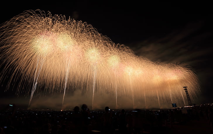fireworks, nightime, nights, sparks, spark, firework display, exploding