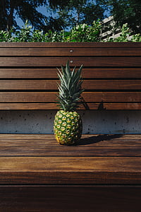 bench, fruit, pineapple, plants, summer, summer vibes, summertime