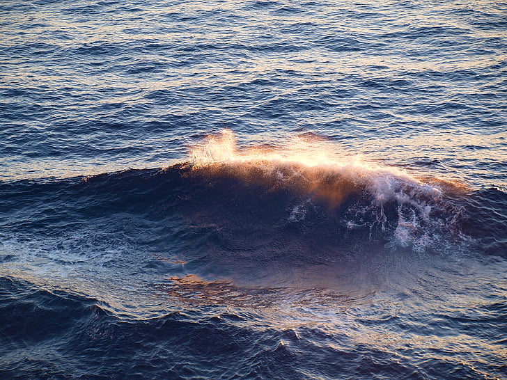 bølge, havet, solen, spray