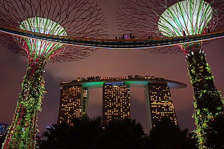 Zatoka Marina, wielkie drzewo, ogrody nad zatoką, Singapur, noc, światła
