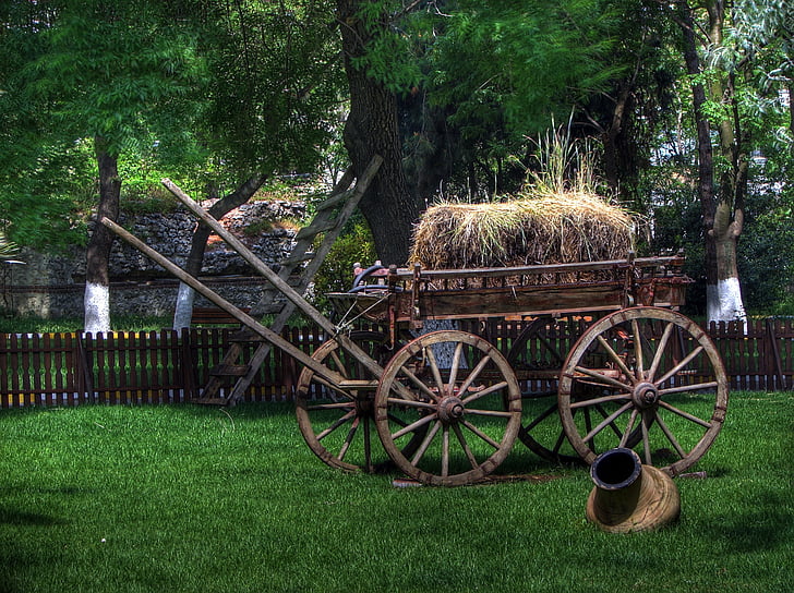 turkey, park, wagon, cart, old, hay, grass