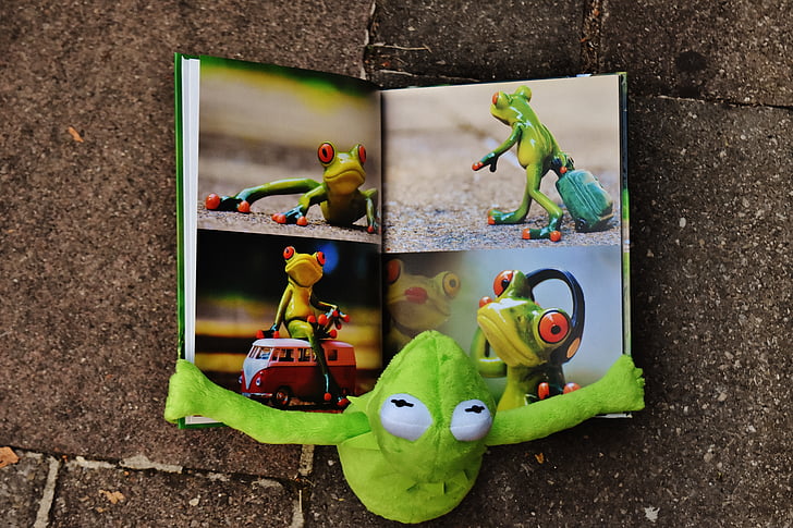 Kermit, livre, livre d’images, Regarder, grenouille, s’asseoir, Figure