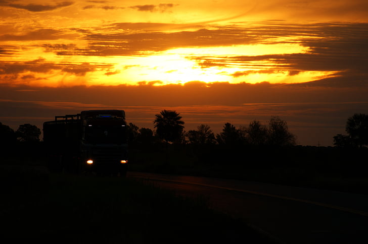 δρόμος, ουρανός, ηλιοβασίλεμα, φορτηγό, φως, δέντρο, Φοίνικας