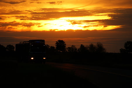 drogi, niebo, zachód słońca, samochód ciężarowy, światło, drzewo, palmy