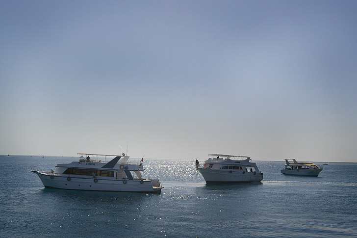 Mar, Egipte, vaixell, embarcacions, l'estiu, vacances, vaixell nàutica