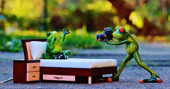 fotograf, žaba, foto ustrelil, zabavno, kamero, zabavno, živali