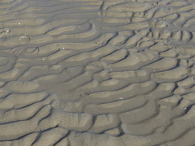 모래, 비치, 젖은, 파도, 바다, 모래 해변, 그리기