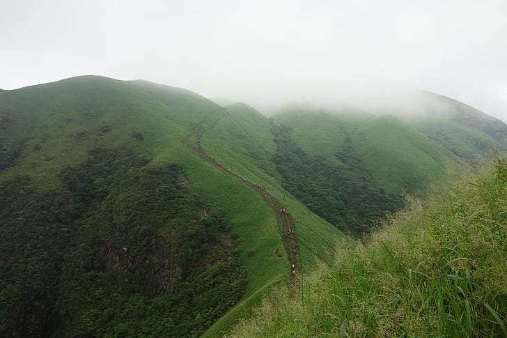 wugongshan, cloud, vegetation