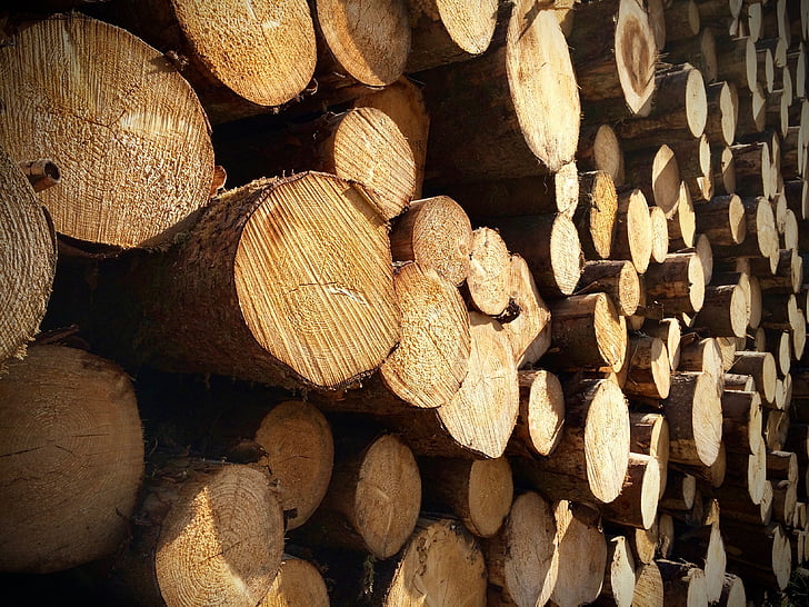 medienos, kamino, holzstapel, krūva medienos, medienos rietuvė, mediena - medžiaga, malkinė mediena