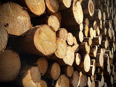 trä, stacken, holzstapel, högen av trä, trä stack, trä - material, ved