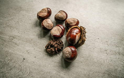 chestnut, segar, Makanan, musim gugur, coklat, organik, musiman