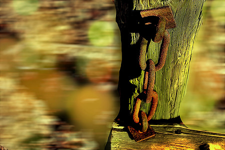 chain, log, stainless, weathered, rusted, broken, decay