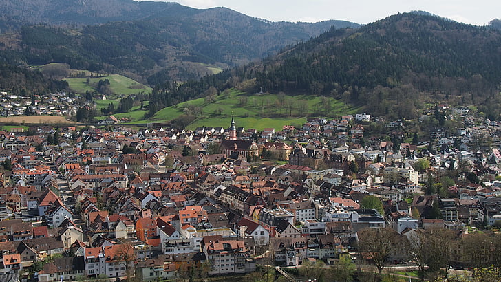 Waldkirch, dorp, Zwarte Woud, vogelperspectief uitzicht, daken, Bergen