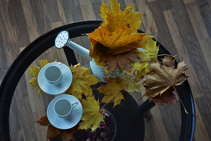 autumn, mugs, leaves, colors, dining, autumn colors