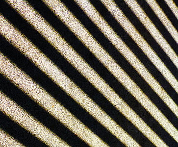 black and white, pattern, stripes, black, patterned, lines, sunlight