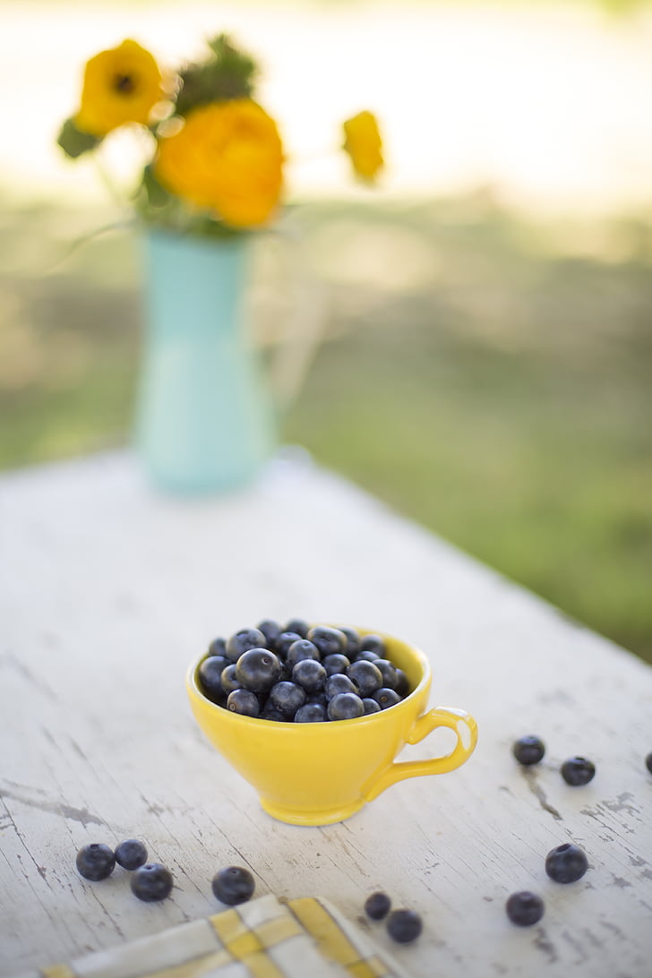 blueberries, bowl, snack, fruit, fresh, outdoor, table