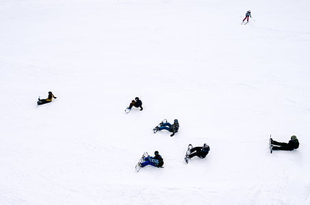 ludzie, deski snowboardowe, siedząc, śnieg, w ciągu dnia, zimowe, biały