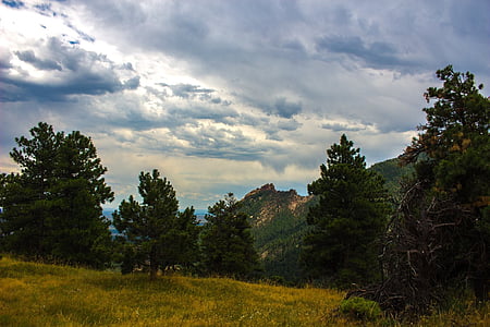 Colorado, montañas, árbol de hoja perenne, nubes, paisaje