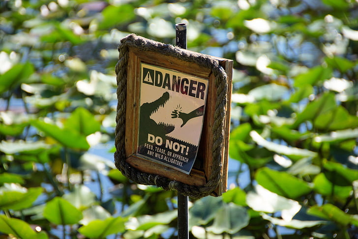 warning, warnschild, shield, alligator, everglades, miami, risk