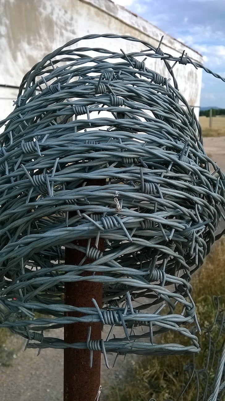 wire, wired, metal, barbed wire, barbed wire fence, perimeter fence, skewers