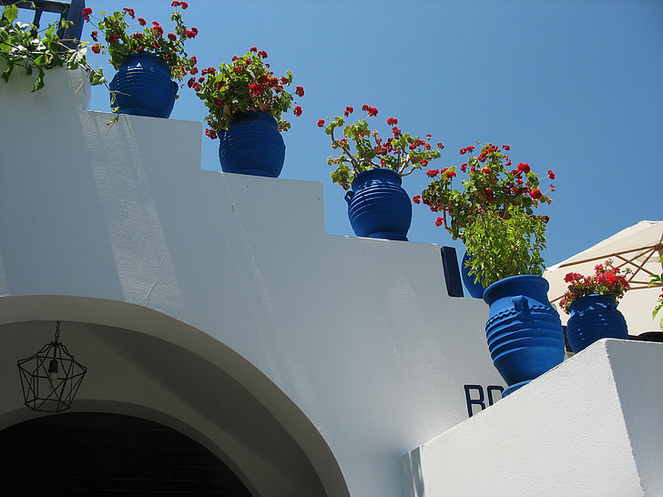Geranio, Flores en una maceta, calle, Grecia, espacio libre, Kumba, blanco y azul