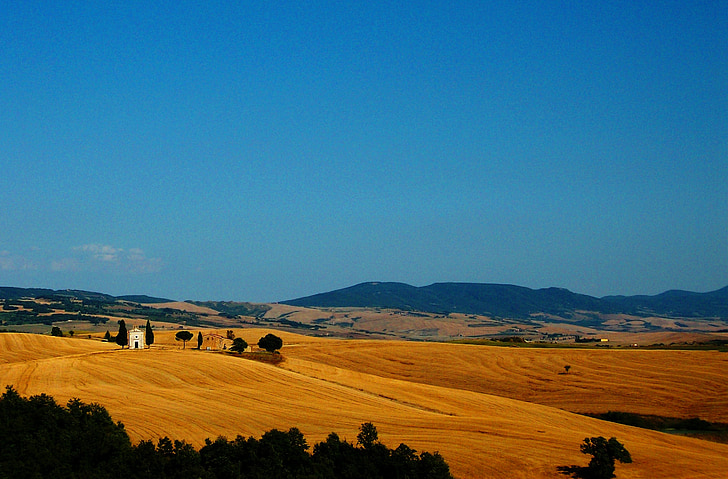 Toscana, paisatge, camp, camp, blat, cereals, gra