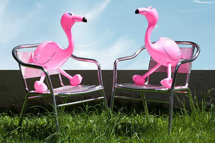 Flamingo, piepūšami, rozā, romantisks, mīļotājiem, dārza, krēsls