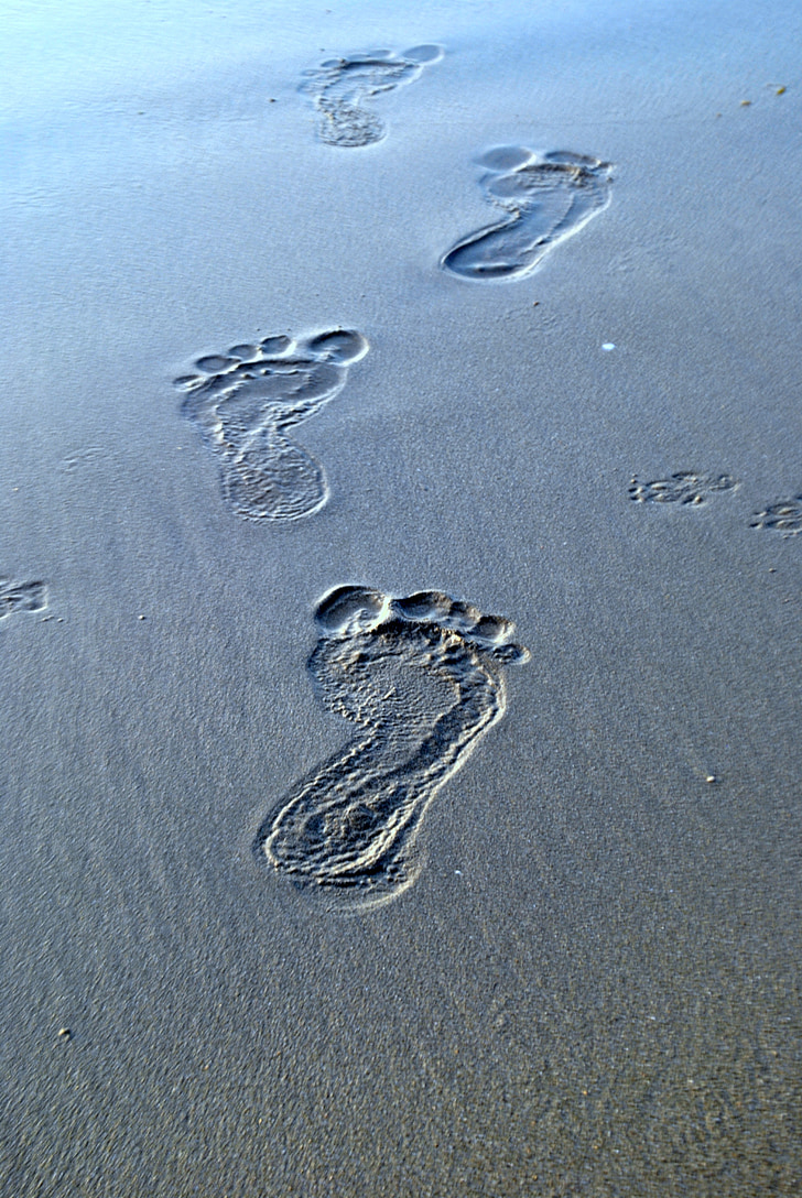 passos, sorra, traces, descalç, petjada, platja, a peu