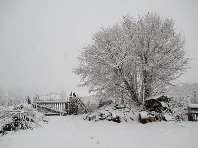 winter, snow, village, tree, biel, landscape, poland