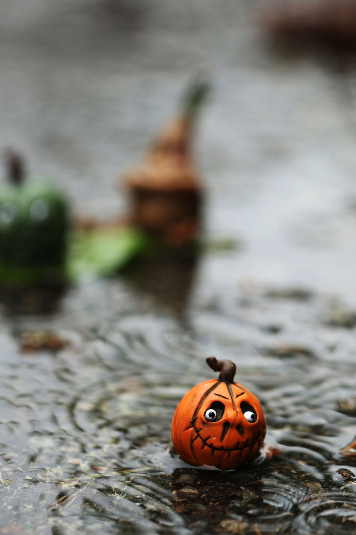 vatten, Leaf, Figur, regn, Tiny, Väder, våt