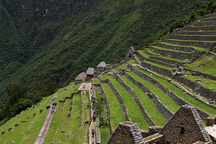 terraza, reliquia, escaleras, colina, montaña, Machu picchu, Inca