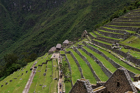 terrassa, relíquia, escales, vessant, muntanya, Machu picchu, Inca