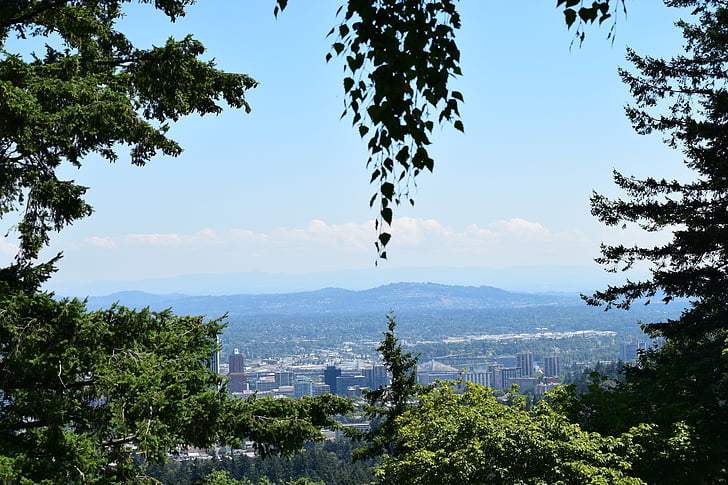 kentsel sahne, Portland, ağaçlar, manzara, şehir merkezinde, Şehir, doğa