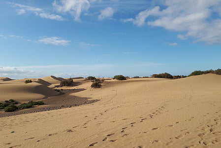 Gran Kanarija, Maspalomasas, smėlio kopos, Kanarų salos, paplūdimys, Ispanija, Gamta