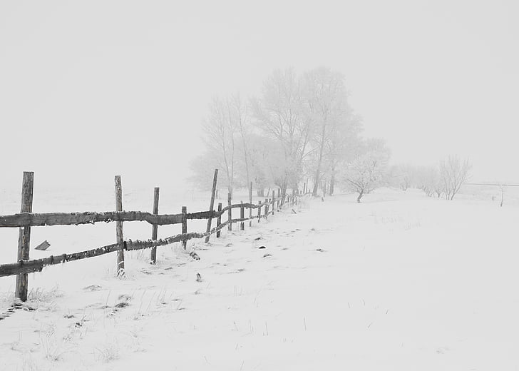 木製, フェンス, 覆われています。, 雪, 冬, 自然, 写真