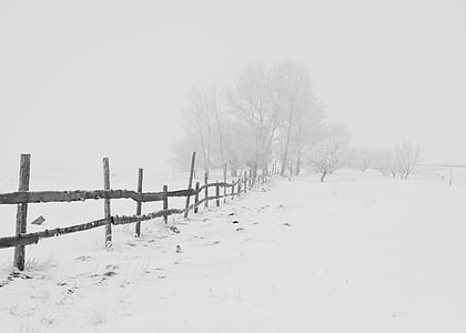 wooden, fence, covered, snow, winter, nature, photo