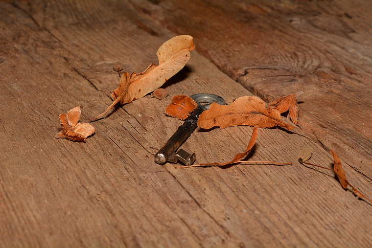 chìa khóa, kim loại, cũ, gỗ, đóng, mùa thu, lá
