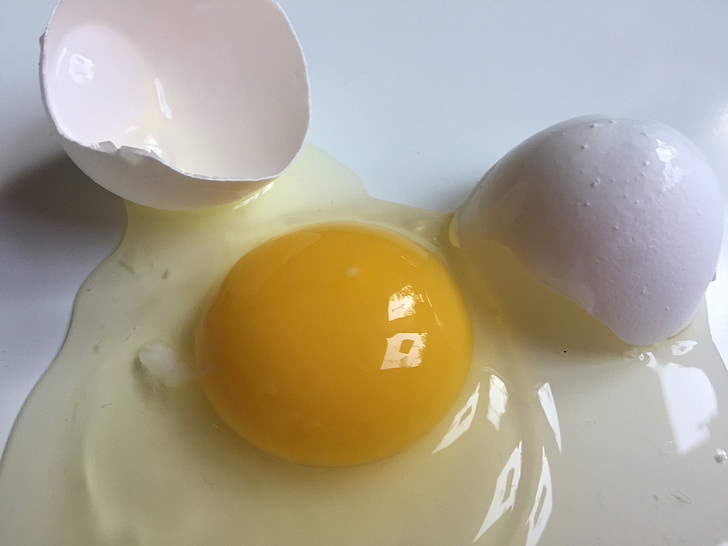 egg, broken egg, white egg