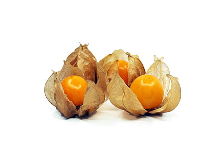 bacca di Kut, frutta, salute, arancio, bacca, natura, delizioso