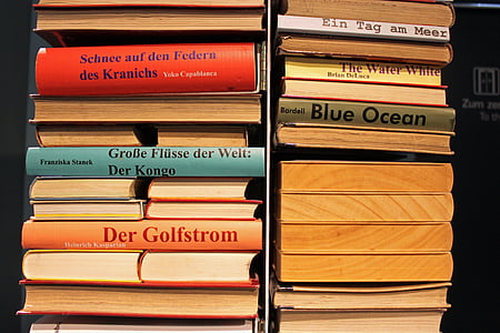 llibres, llibre, apilada, literatura, llibres usats, pila, Biblioteca